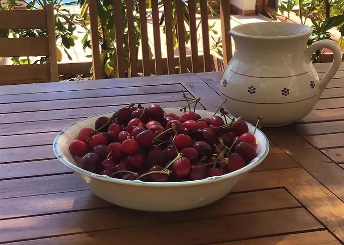 Cozy In With Sea View Appartamento